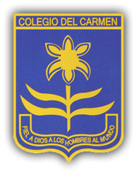 INSTITUTO DEL CARMEN 